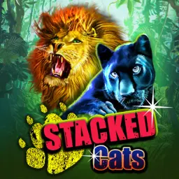 Stacked Cats