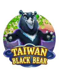Taiwan Black Bear