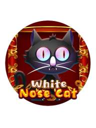 White Nose Cat