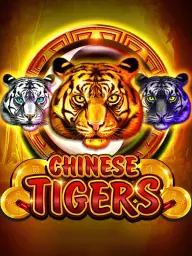 Chinese Tigers