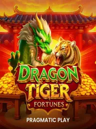 Dragon Tiger Fortunes