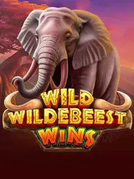 Wild Wildebeest Wins