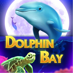 Dolphin Bay