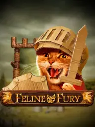 Feline Fury