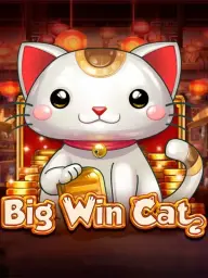Big Win Cat
