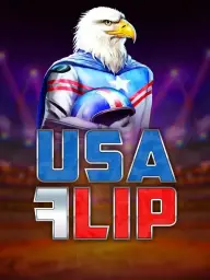 USA Flip