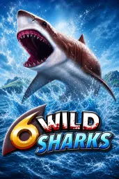 6 Wild Sharks