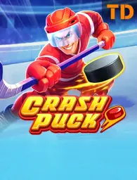 Crash Puck