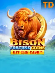 Bison Fortune Coins