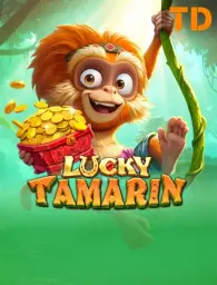Lucky Tamarin