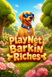 PlayNetBarkinRiches